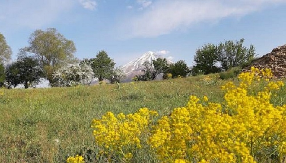 دشت آزو • برکه توریسم | عکس + آدرس و هر آنچه نیاز دارید.